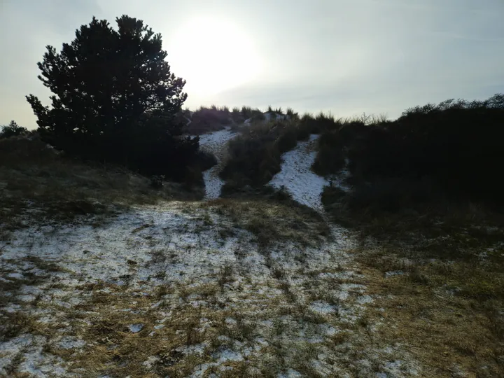 Oostnieuwkerke duinen wandeling in de koude (België)